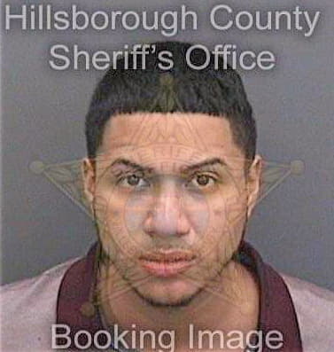 Obregon Edinson - Hillsborough County, FL 