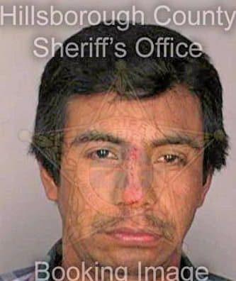 Figueroa Rodolfo - Hillsborough County, FL 