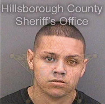 Meza Antonio - Hillsborough County, FL 