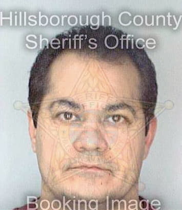 Deodesie Arthory - Hillsborough County, FL 
