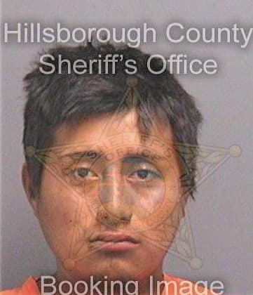 Marroquinmendez Julio - Hillsborough County, FL 