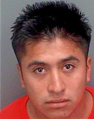 Cruz Luis - Pinellas County, FL 
