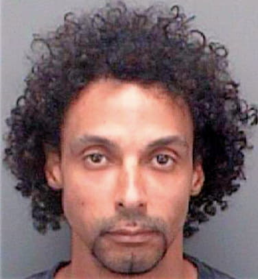 Heatwole Mark - Pinellas County, FL 