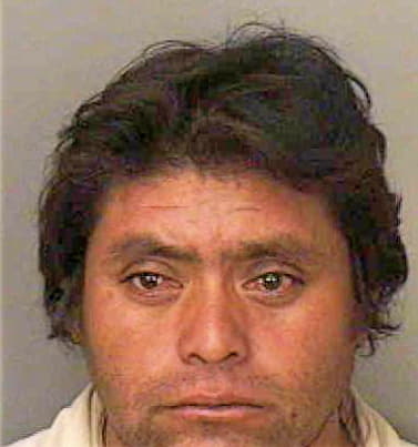 Lopez-Alonzo Andres - Polk County, FL 