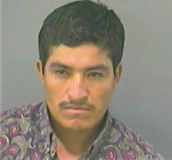 Palacios-Martinez Armando - Gwinnett County, GA 