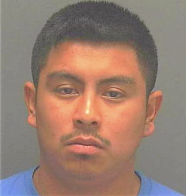 Baltazar Calvin - Lee County, FL 