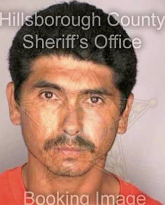 Tejada Martin - Hillsborough County, FL 