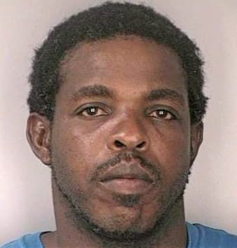 Anderson Michael - Hillsborough County, FL 