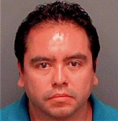 Roman Rafael - Pinellas County, FL 