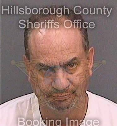 Perez Ramon - Hillsborough County, FL 