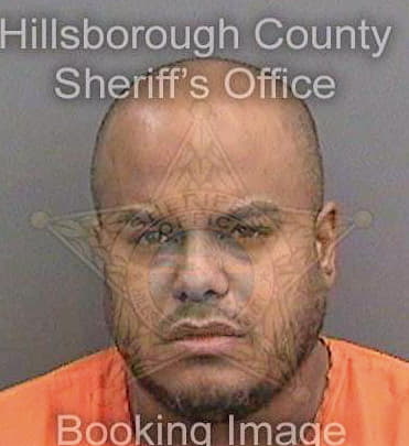 Mercedesazcona Dariel - Hillsborough County, FL 