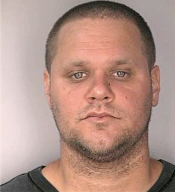 Emerton Robert - Hillsborough County, FL 