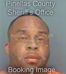 Brown Brandon - Pinellas County, FL 