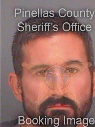 Hricik Ivan - Pinellas County, FL 