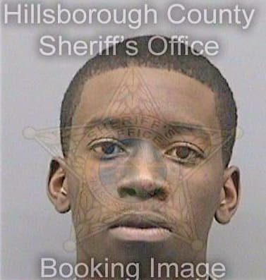 Ross Johnnie - Hillsborough County, FL 
