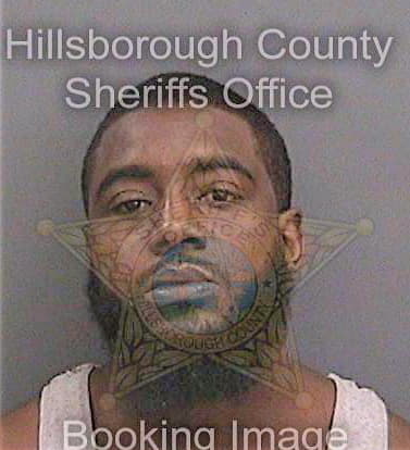 Perkins Kristian - Hillsborough County, FL 
