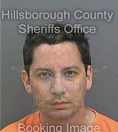 Delaunay Shawn - Hillsborough County, FL 