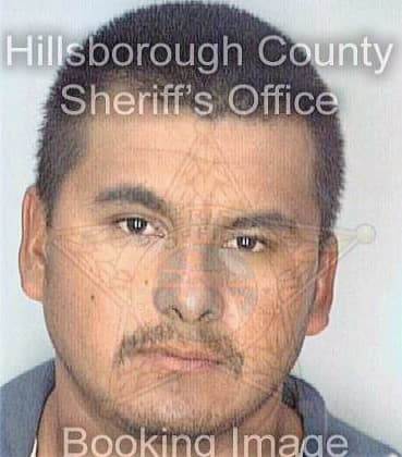 Flores Marcos - Hillsborough County, FL 