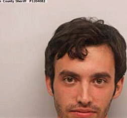 Mayes Steven - Chatham County, GA 