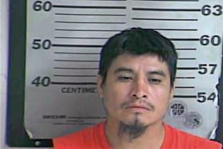 Mendez Alfredo - Dyer County, TN 