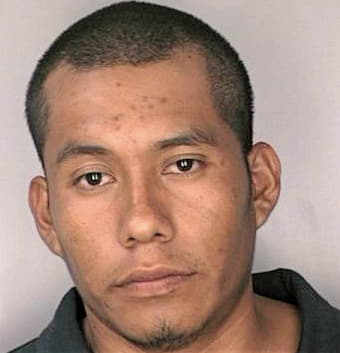 Garciaromero Cuavhtemoc - Hillsborough County, FL 