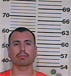 Ramirez David - Hidalgo County, TX 