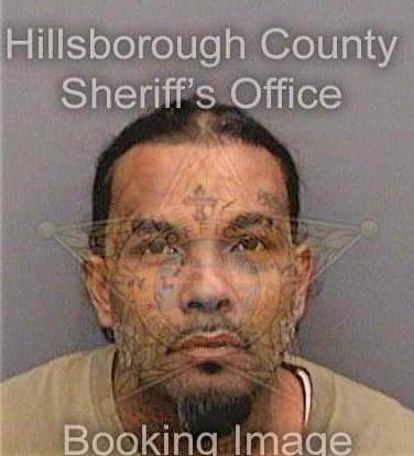 Soondarsingh Shane - Hillsborough County, FL 