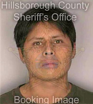 Gonzalez Jose - Hillsborough County, FL 