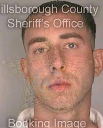 Foley Michael - Hillsborough County, FL 