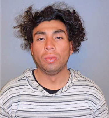 Lopez-Hernandez Virgelio - Madera County, CA 