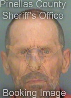 Erickson Craig - Pinellas County, FL 
