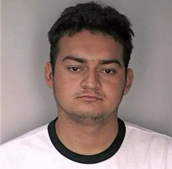 Chavez Pedro - Hillsborough County, FL 