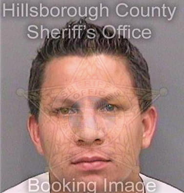 Chavezsanlucas Carlos - Hillsborough County, FL 