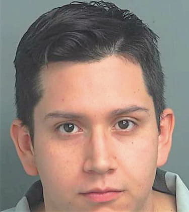 Silva Joel - Montgomery County, TX 