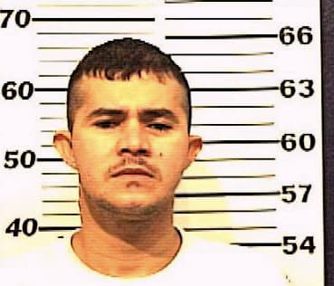 Rosales Marvin - Denton County, TX 