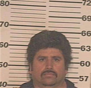 Hernandez Oliverio - Hidalgo County, TX 