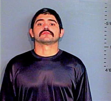 Hernandez Antonio - Brazos County, TX 