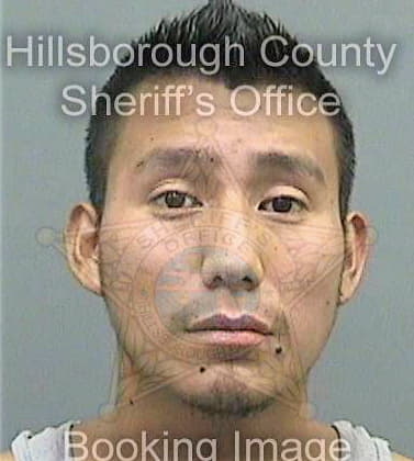 Ramirez Didier - Hillsborough County, FL 