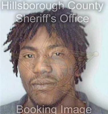 Andrews Sanchez - Hillsborough County, FL 
