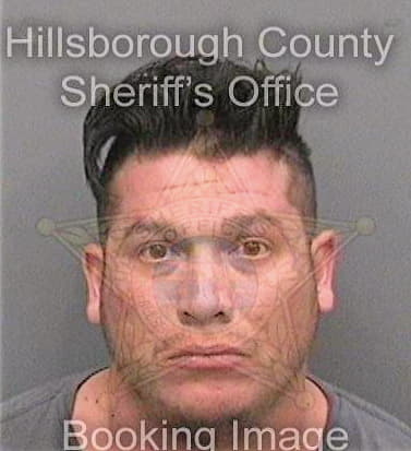 Mendoza Sonny - Hillsborough County, FL 