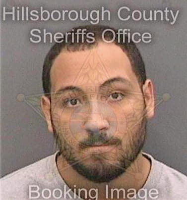 Nelson Andrew - Hillsborough County, FL 