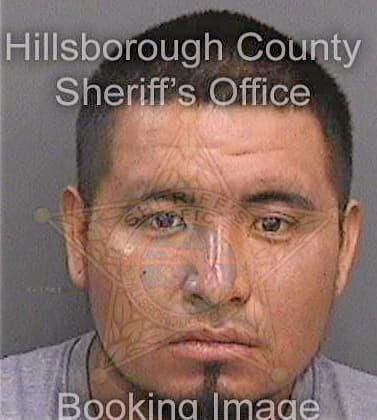 Marquez Antonio - Hillsborough County, FL 