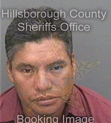 Hernandezlopez Gregorio - Hillsborough County, FL 