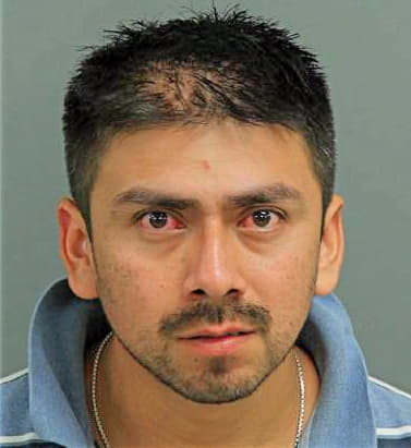 Arzare Luis - Wake County, NC 