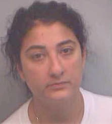 Dehdashti Sanaz - Fulton County, GA 