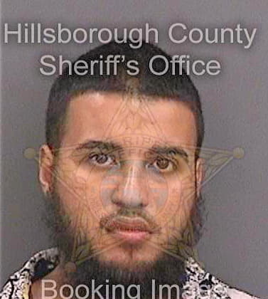 Berenger Craig - Hillsborough County, FL 