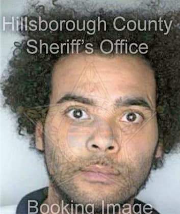 Hamilton Nathan - Hillsborough County, FL 
