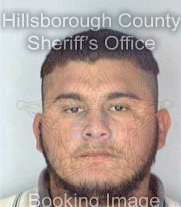 Garcia Rolando - Hillsborough County, FL 