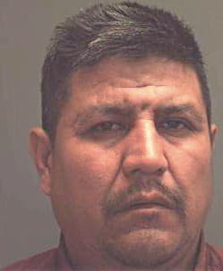 Jose-Gonzalez Caustancio - Douglas County, GA 