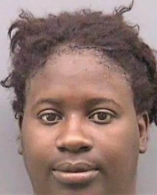 Canadiate Darrlynn - Hillsborough County, FL 